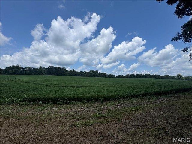Farm for sale in Frohna, Missouri