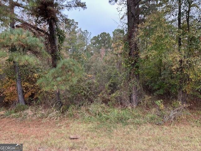 Land for sale in Milledgeville, Baldwin County
