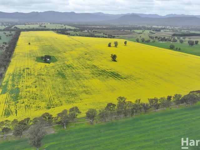 Cottage for sale in Laharum, Victoria
