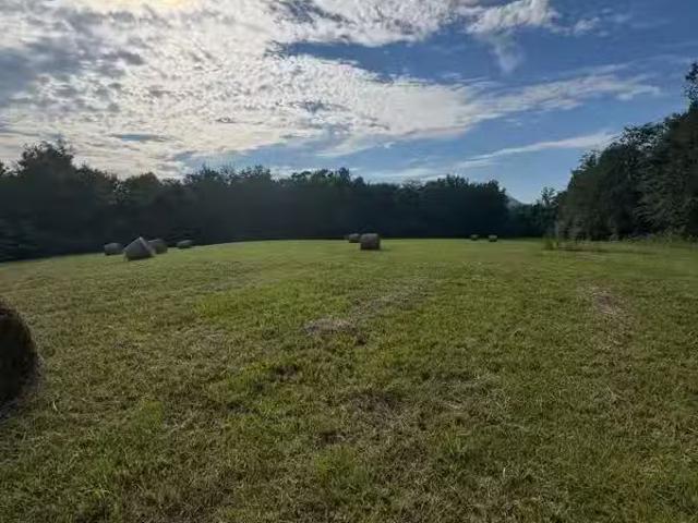 House for rent in Scottsboro, Alabama