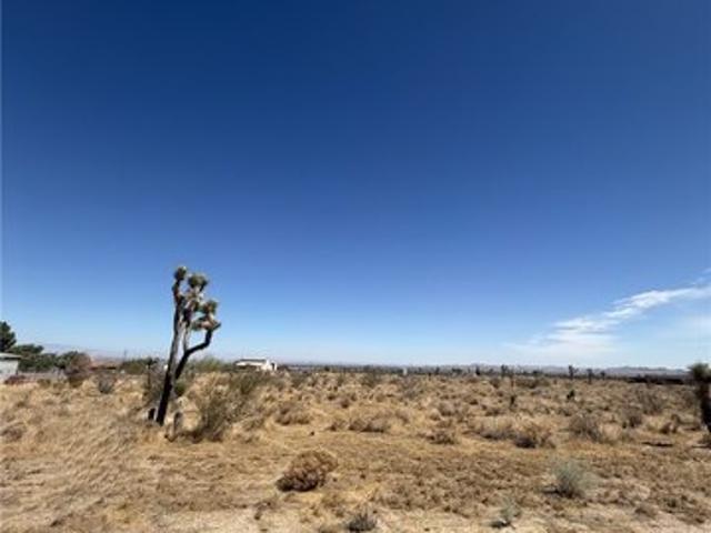 Land for sale in Pearblossom, California