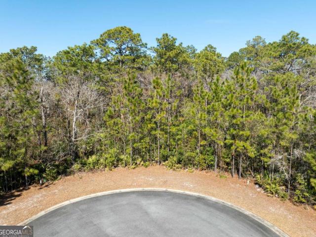 Land for sale in Glynn, Georgia