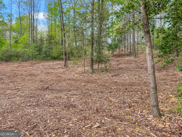 Land for sale in Red Hill, Eastanollee