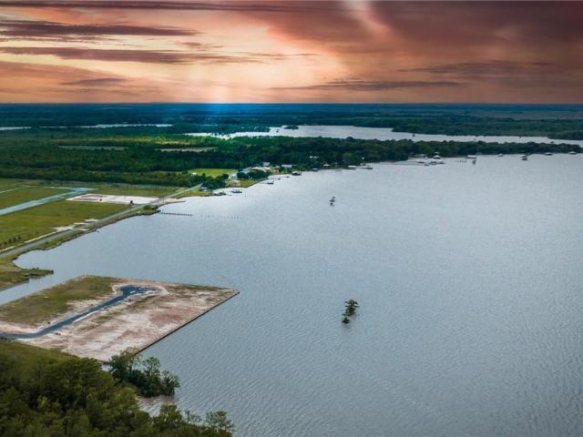 Land for sale in Gueydan, Louisiana