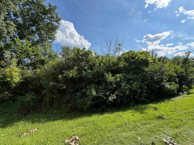 Land for sale in Dixon, Illinois