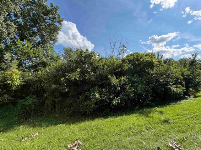 Land for sale in Dixon, Illinois