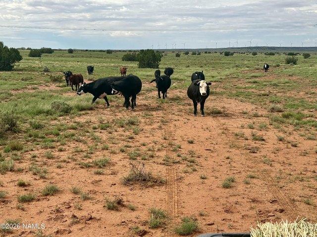 Land for sale in Navajo, Arizona