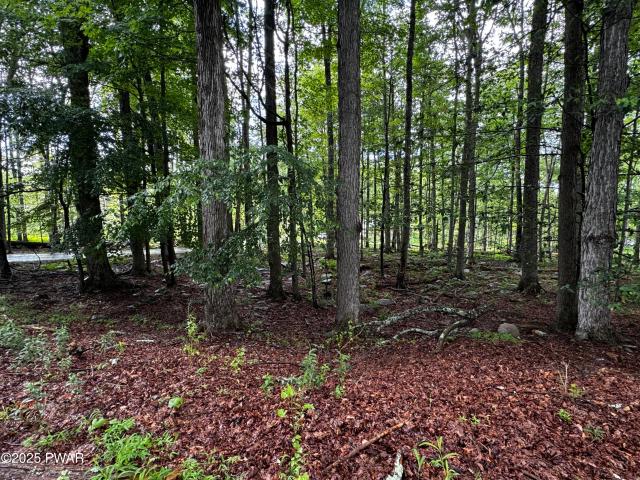 Land for sale in Greentown, Pennsylvania