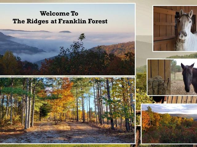Land for sale in Tennessee