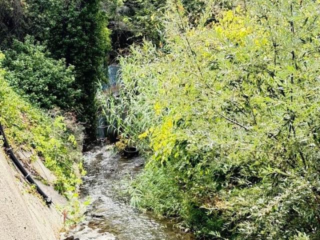 Apartment for rent in San Jose, California
