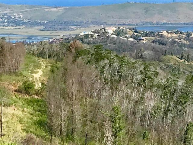 Farm for sale in Groot Brak Rivier, Western Cape