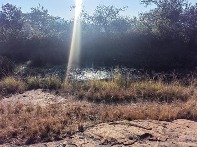 Land for sale in Ehlanzeni, Mpumalanga