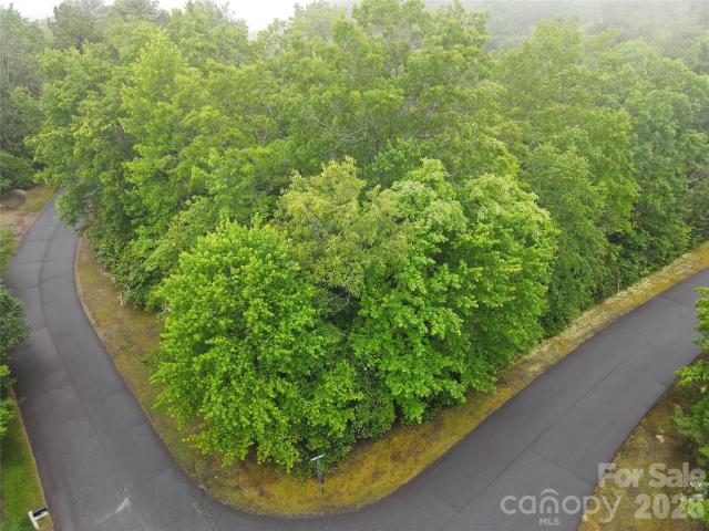 Land for sale in Transylvania, North Carolina