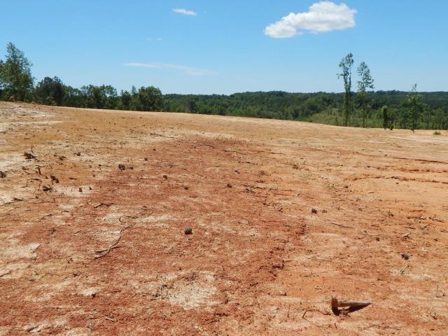 Land for sale in Grenada, Mississippi