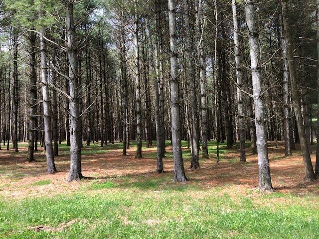 Land for sale in Russell Springs, Russell County