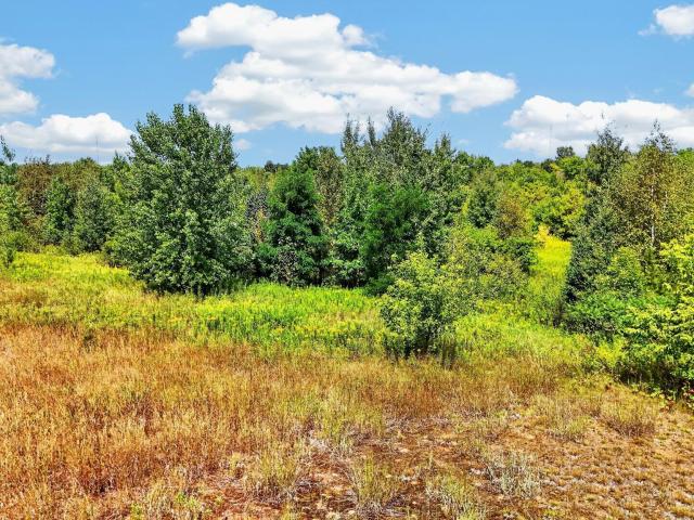 Land for sale in Hinckley, Minnesota