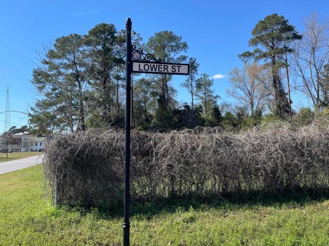 Land for sale in Trenton, North Carolina