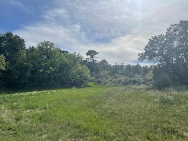 Land for sale in La Jara, New Mexico