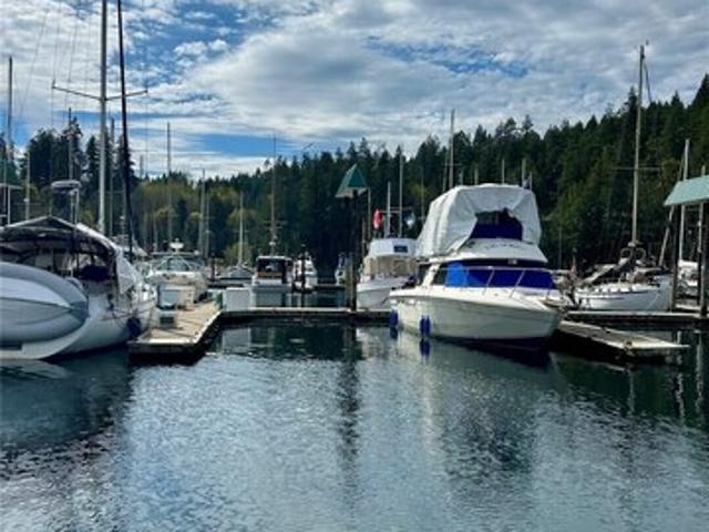 Land for sale in Brinnon, Washington