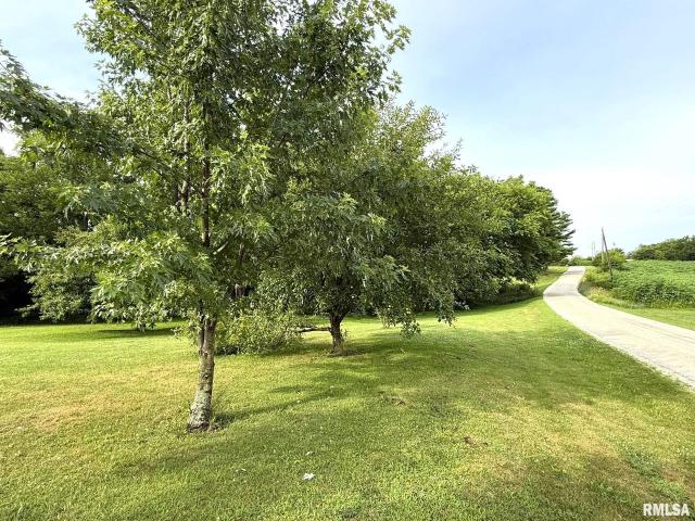 Land for sale in Altona, Illinois