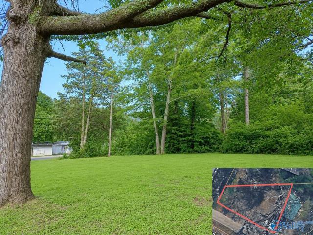 Land for sale in Centre, Alabama