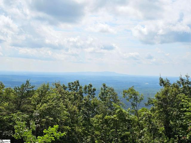 Land for sale in Landrum, South Carolina