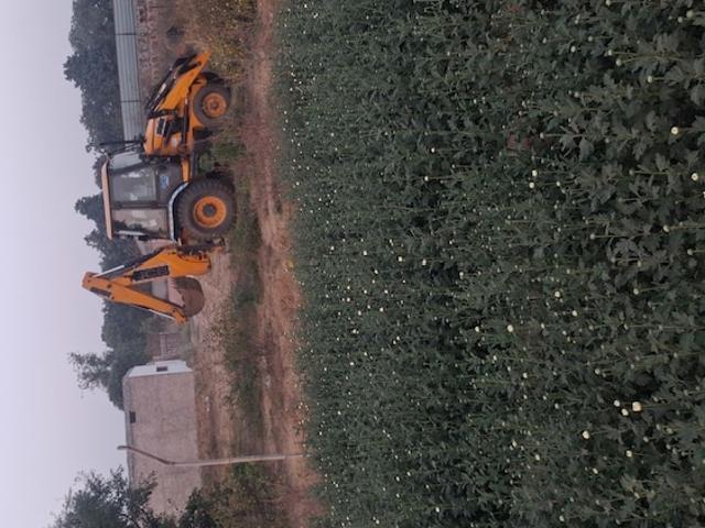 Land for sale in Hariana