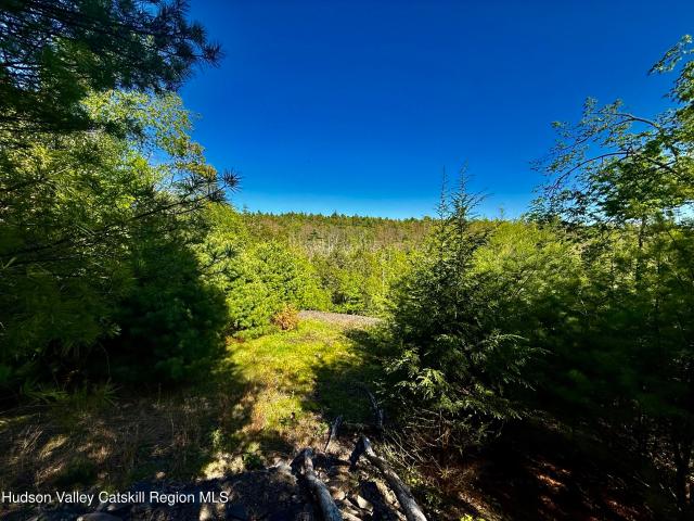 Land for sale in Hurley, New York