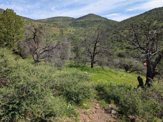 Land for sale in Fort Davis, Texas