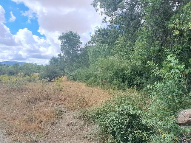 Terreno en venta en Sexmo de Posaderas, Sotosalbos