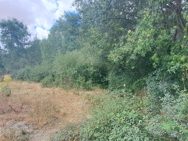 Terreno en venta en Sexmo de Posaderas, Sotosalbos