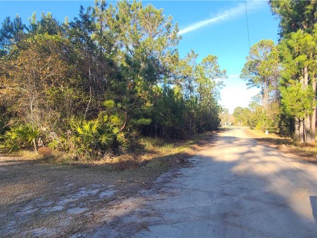 Land for sale in Georgia