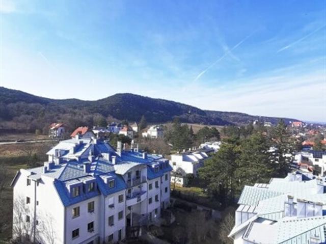 Wohnung kaufen in Mödling, Niederösterreich