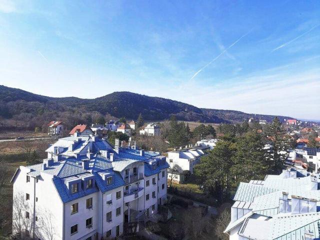 Apartment kaufen in Mödling, Niederösterreich