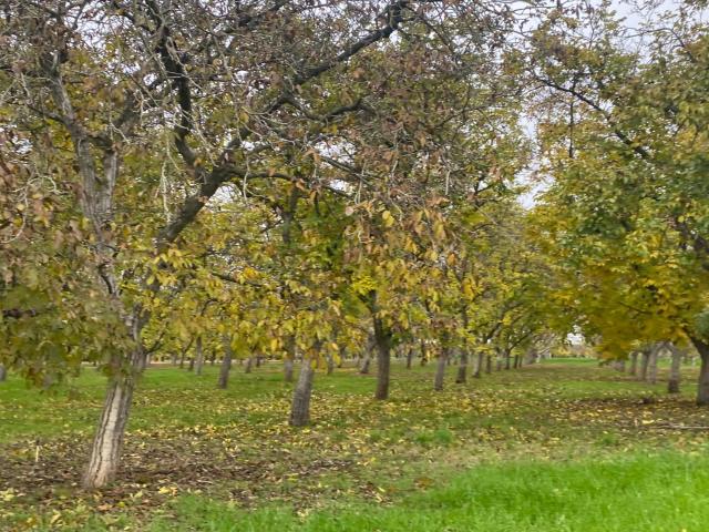 Land for sale in Stockton, California