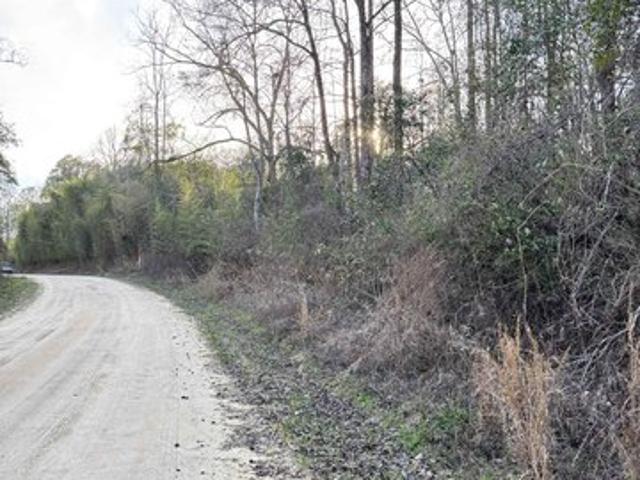 Land for sale in Andalusia, Alabama