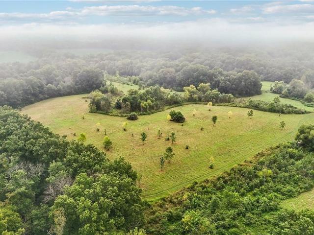 Farm for sale in Green Ridge, Missouri