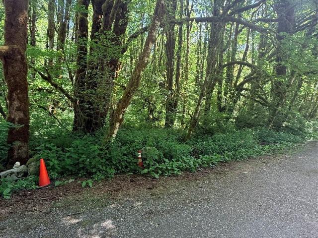 Land for sale in Skykomish, Washington