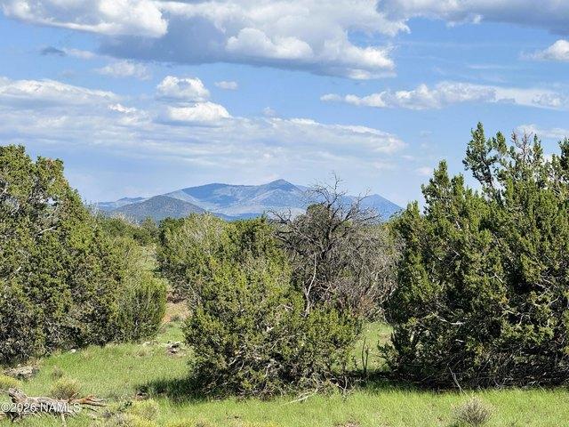 Land for sale in Williams, Arizona