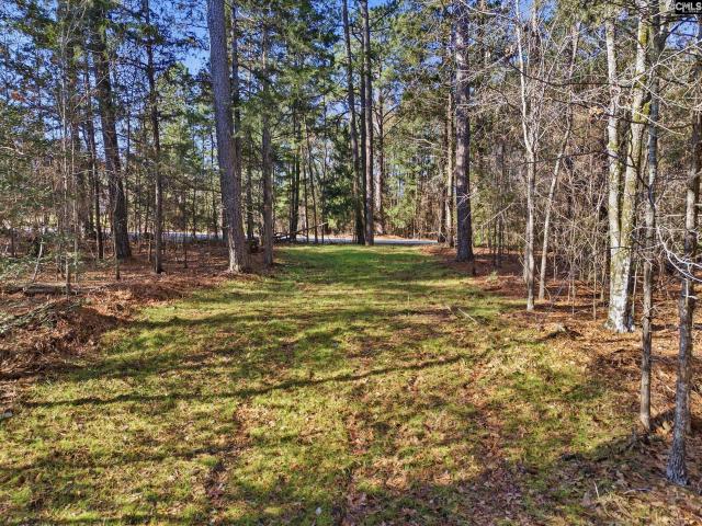 Land for sale in Winnsboro, South Carolina