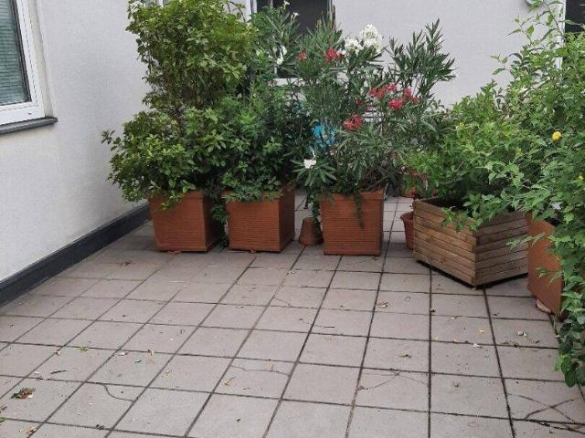 Apartment mieten in KG Leopoldstadt, Wien