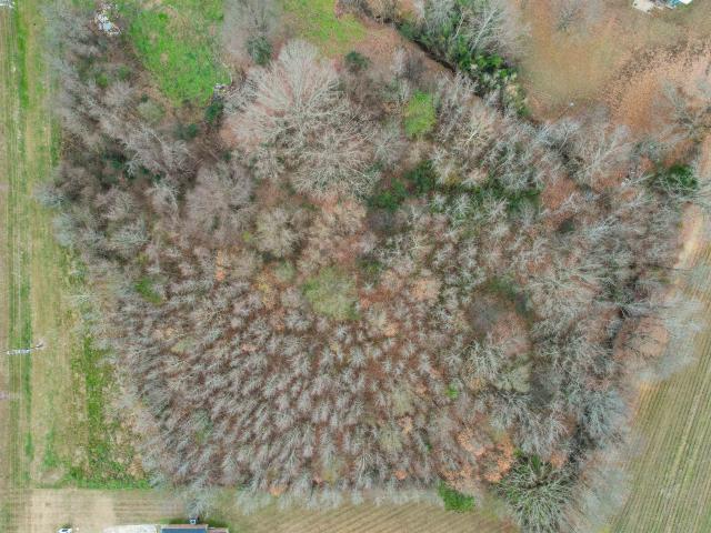 Land for sale in Selmer, West Tennessee