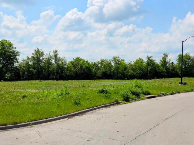 Land for sale in Republic, Missouri