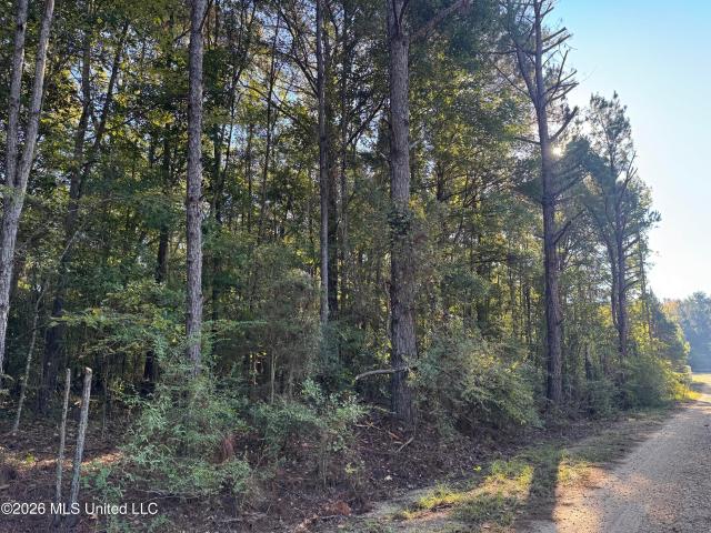 Land for sale in Summit, Pike County