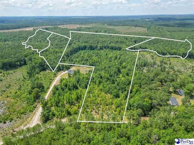 Land for sale in Chesterfield, South Carolina