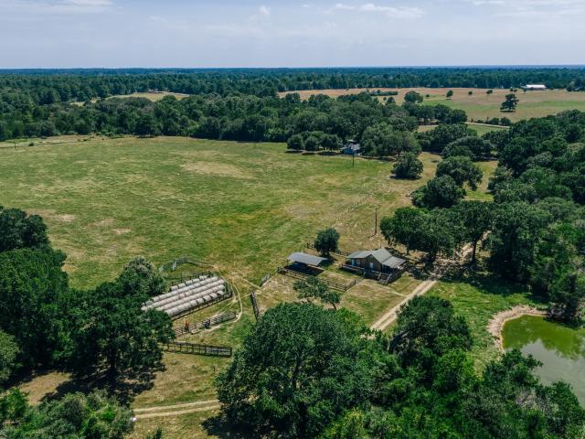 Farm for sale in New Ulm, Colorado County