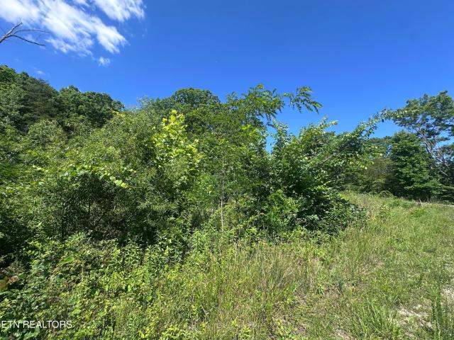 Land for sale in Tennessee