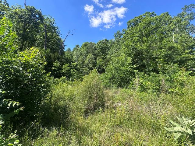 Land for sale in Tennessee