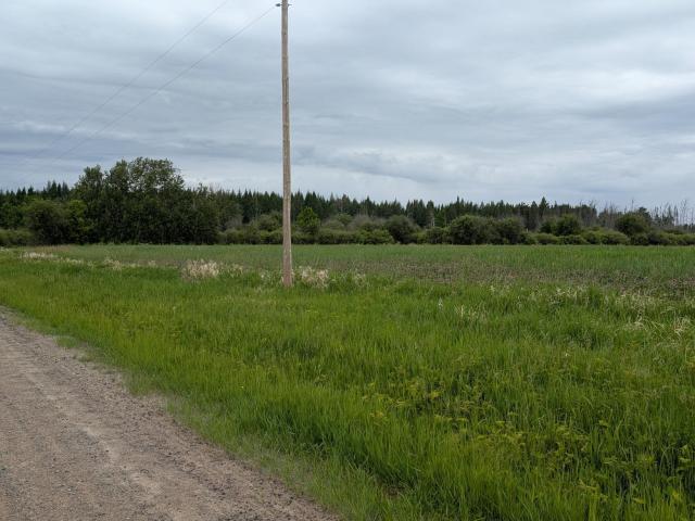 Land for sale in Minnesota