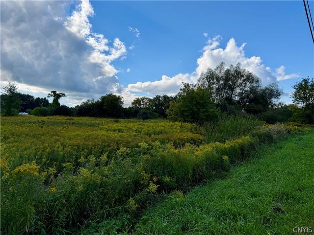 Land for sale in Village of Copenhagen, Town of Denmark